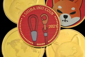 Will Shiba Inu Surpass Dogecoin? Price Prediction Insights